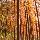 오성투어 - 수성구 수성로 23 | 오성투어