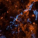 CW-1921-01 이미지