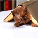 힐링산업 이미지