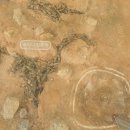 신길동 선사유적지 이미지