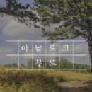 김영태스시앤사시미마을 이미지