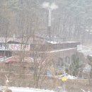 창박골 한증원 티스토리