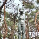 창원 편백나무숲 무장애나눔길 네이버블로그