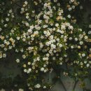 행복한세상 행정사사무소 이미지