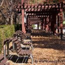 황송공원 이미지