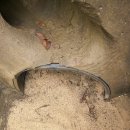 세정초등학교 이미지