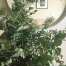 안개4길 이미지