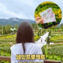 동원가든 | 포천 여행 한탄강 가든페스타 축제 방문 후기 2025 일정