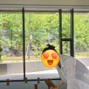 서서울미술관 서서울의 투명한 청소년 기계 후기 주차 팁