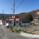 남사1리 이미지