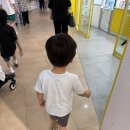 토이푸드
