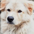 병우농장 이미지