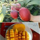 전남 광양시청 세계일보