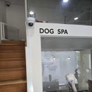 비전하이 | 마포 강아지 미용실 '몽꺄' 하이크비전_하이 감시카메 4채널 설치 후기 (동일 조건 무조건 최저가 보장!)