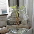 수경빨래방 이미지