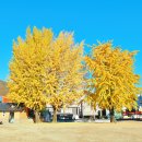 영월부관아 이미지