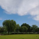 잔디밭