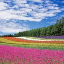 서울미르한방병원