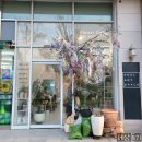 마리나타운 주유소 | 해운대 꽃집 자뎅드로리에, 소중한 어버이날 꽃다발은 여기서!
