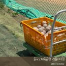 을숙도 리틀야구장 이미지