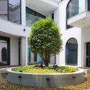 성건축사사무소 이미지