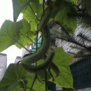 민수농장 이미지