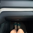 피자알볼로 과천점 | 6월 일상 일기 :: 화가 나는데 왜 참아? 참는다고 복은 오지 않아☘️ 행복하자