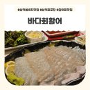 바다회마트 | 삼척 쏠비치 회포장 맛집 광어가 맛있었던 바다회활어 후기
