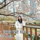 삼성초등학교 건너편(하천옆) | 온천천 벚꽃 축제 후기 부산 벚꽃 개화시기 주차 먹거리 총정리