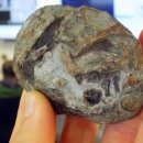 CW-1976-01 이미지