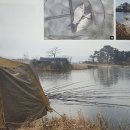 인안2리 이미지