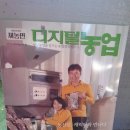돈섬