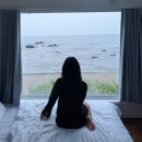 블루밍그릴 | 포항 여행 오션뷰 캠핑 <블루밍 카라반> 숙박 후기