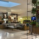 트윈트리 카페(민간개방화장실) | 스페인 세비야 호텔 추천 | 멜리아 세비야 위치•가격•조식 완전 리뷰!