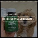 강아지를 부탁해 | 말티푸 관절 근육 관리 / 메디퍼프 액티브 M / 강아지 영양제 급여 후기