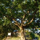 칠절리마을회관 이미지