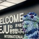 빨간모자달팽이 이미지