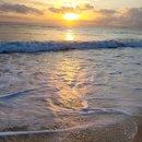 바다호프 이미지