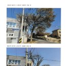 양평수목 이미지