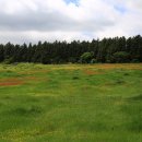 들꽃목장 이미지