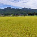 상주시화북면용화보건진료소 이미지