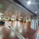 강남-160 이미지