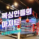 아지트복싱 이미지