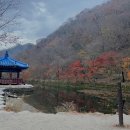 GR(임실군)-[운수로]-하-1 | 정읍국민여가캠핑장 예약&amp;내장산 단풍상황! 글램핑 고기,파인애플,군고구마 후기