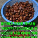 백두병원 이미지