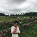 이도목장 이미지