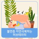 허브테라피 이미지