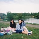 아일랜드 365 이미지