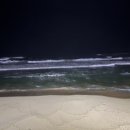 복돌네민박 이미지