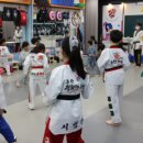 목동 태권도장 이미지